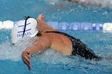 Swimming Butterfly Royalty Free Stock Images