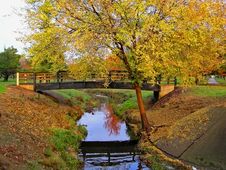 Autumn In The Park Royalty Free Stock Images Autumn In The Park Royalty Free Stock Images