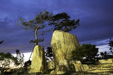 Pine Tree On The Rock Royalty Free Stock Photos Pine Tree On The Rock Royalty Free Stock Photos