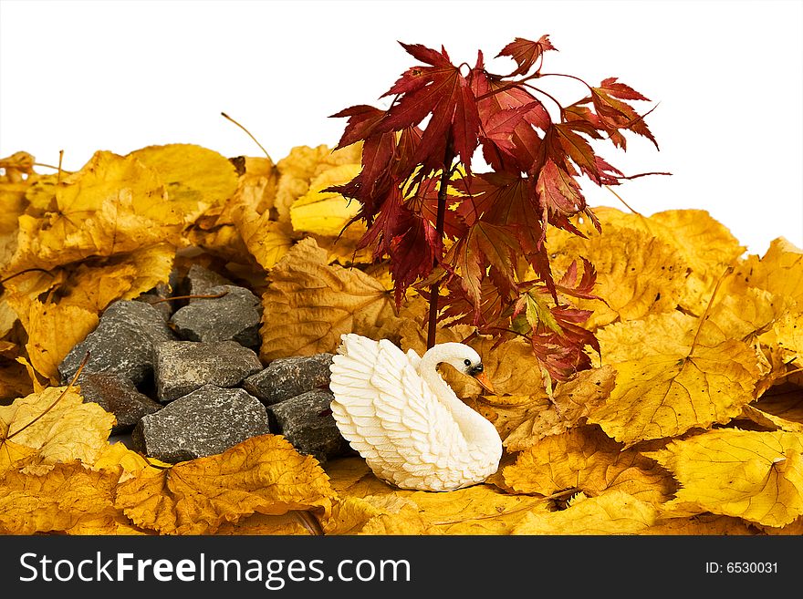 Still life - swan, leafs and stones. Still life - swan, leafs and stones