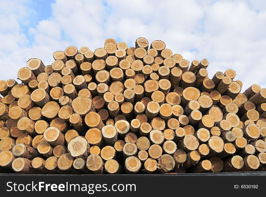 Stack from logs of coniferous trees. Stack from logs of coniferous trees.