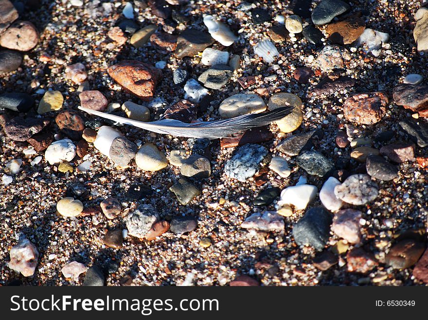 Feather and pebbles on a beach