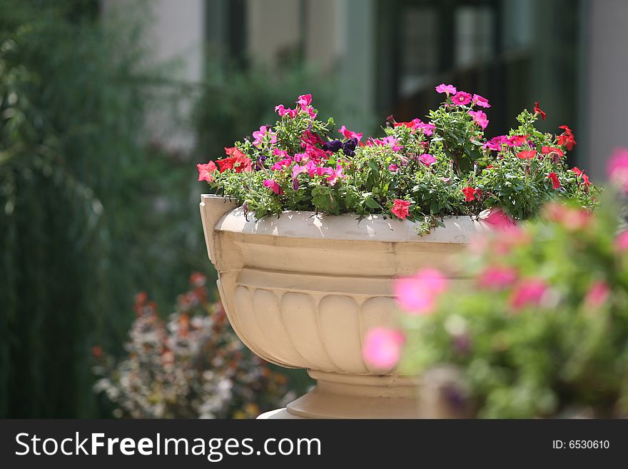 Flower bed in a garden. Flower bed in a garden