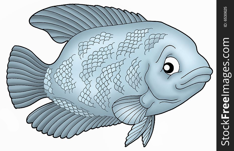 Gurama Fish