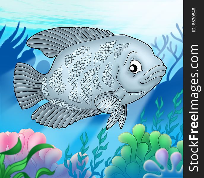 Big Gurama fish - color illustration.