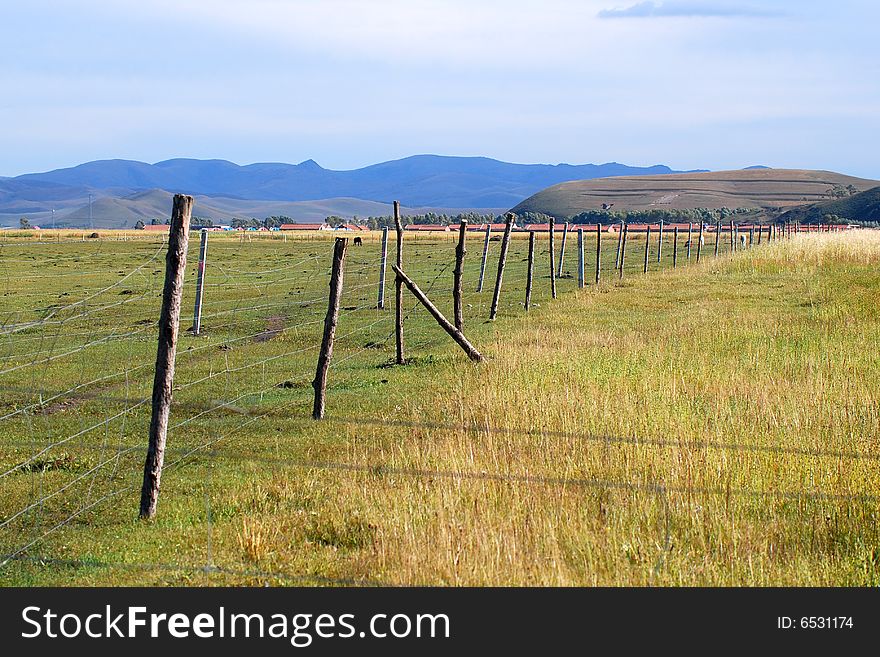 Pasture Field And Fence