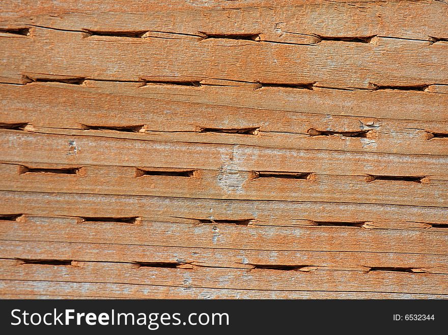 Wood Texture