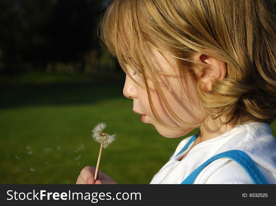 Young girl blowing a dandilion with blue sky. Young girl blowing a dandilion with blue sky