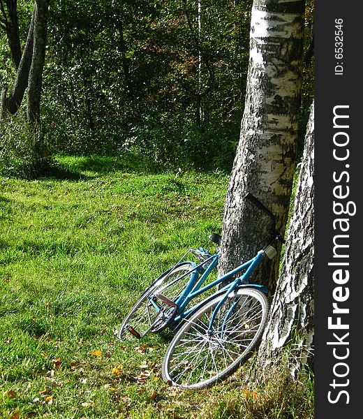 Bicycle at the tree at countryside