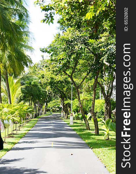 A public park in Bangkok on holiday time