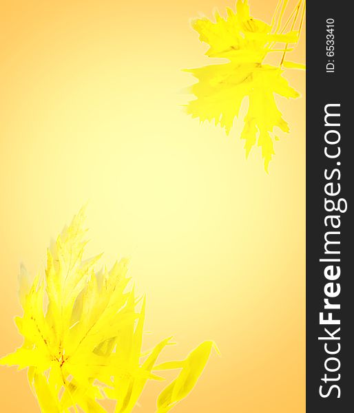 Autumn marple leaf isolated on yellow. Autumn marple leaf isolated on yellow