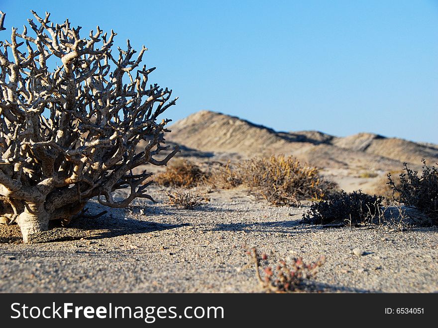 Namibian landscape. South-west of Namibia, Atlantic Coast.