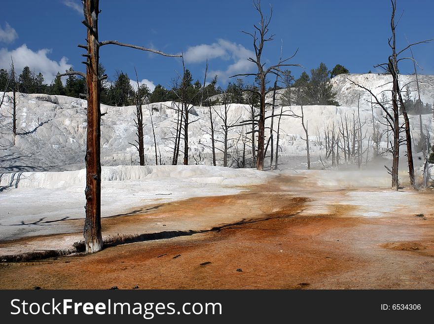beautiful Angel terrace covered by salt. Mammoth hot springs, Yellowstone park. beautiful Angel terrace covered by salt. Mammoth hot springs, Yellowstone park.
