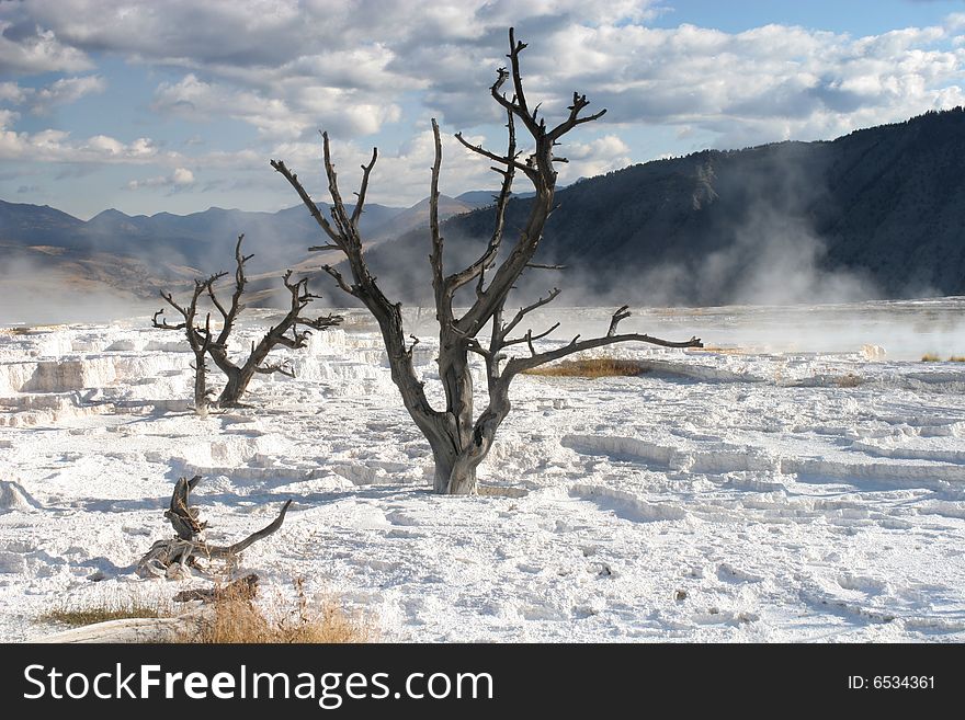 Mammoth hot springs, Yellowstone national park