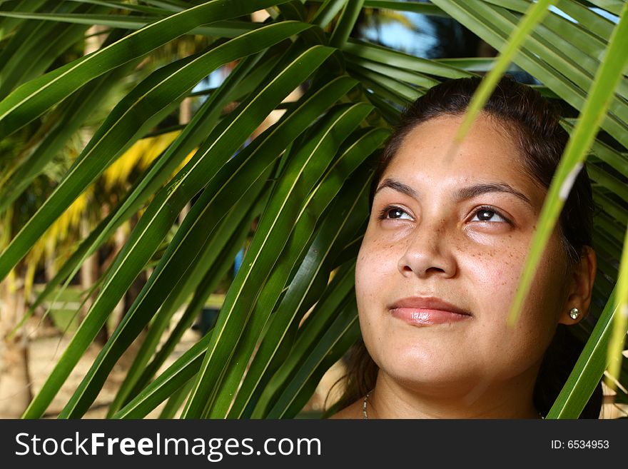 Young woman posing among a palm frond. Young woman posing among a palm frond
