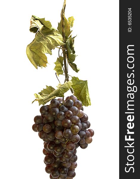 Bunch of red grapes with dried leaves