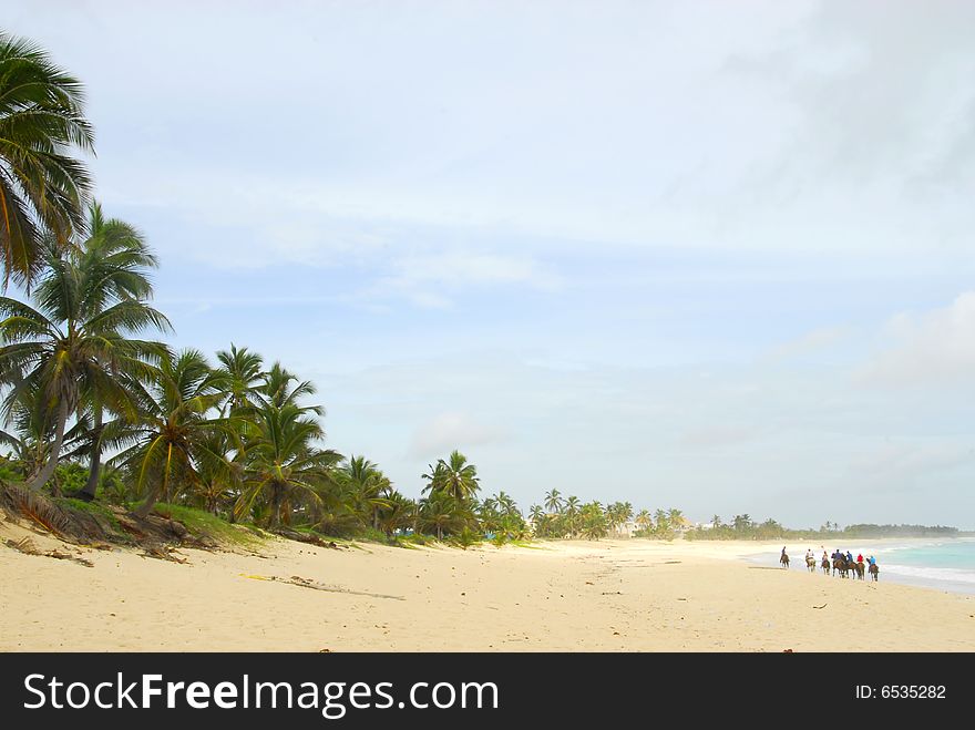 Ride on horseback along the beach