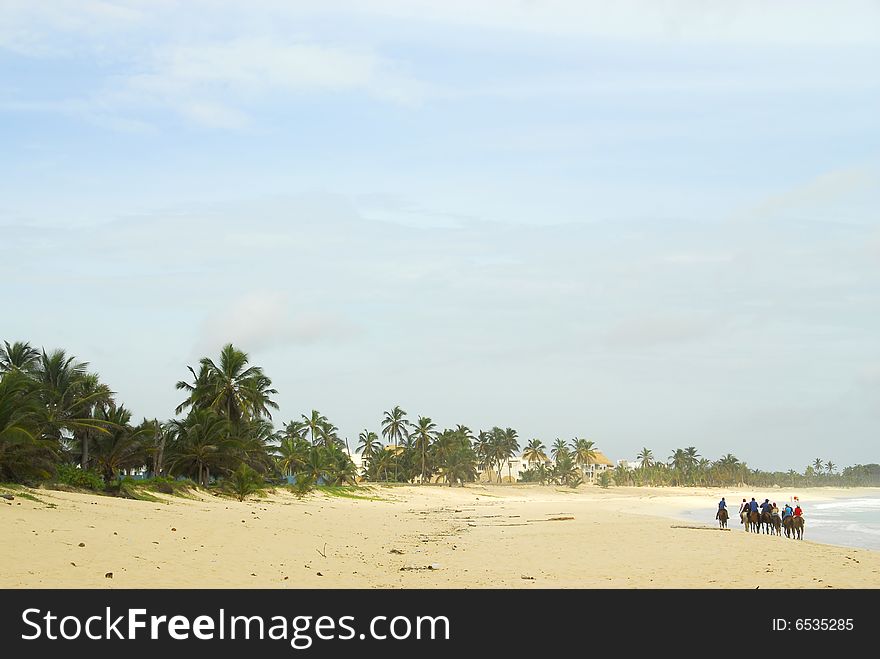 A group of people go on horseback along the beaches and tropical paradise of the Republic doninicana. A group of people go on horseback along the beaches and tropical paradise of the Republic doninicana