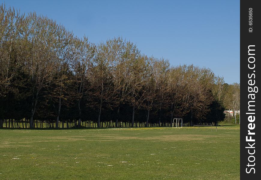 A green field with a row of trees in the background. A green field with a row of trees in the background