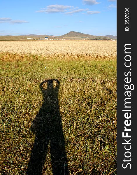 Photo of a person's imposing shadow upon grassland