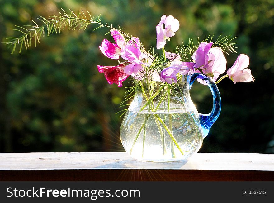 Jug with sweet peas flowers at sunlight