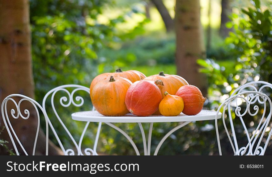 Red and orange pumpkins in a nature scene