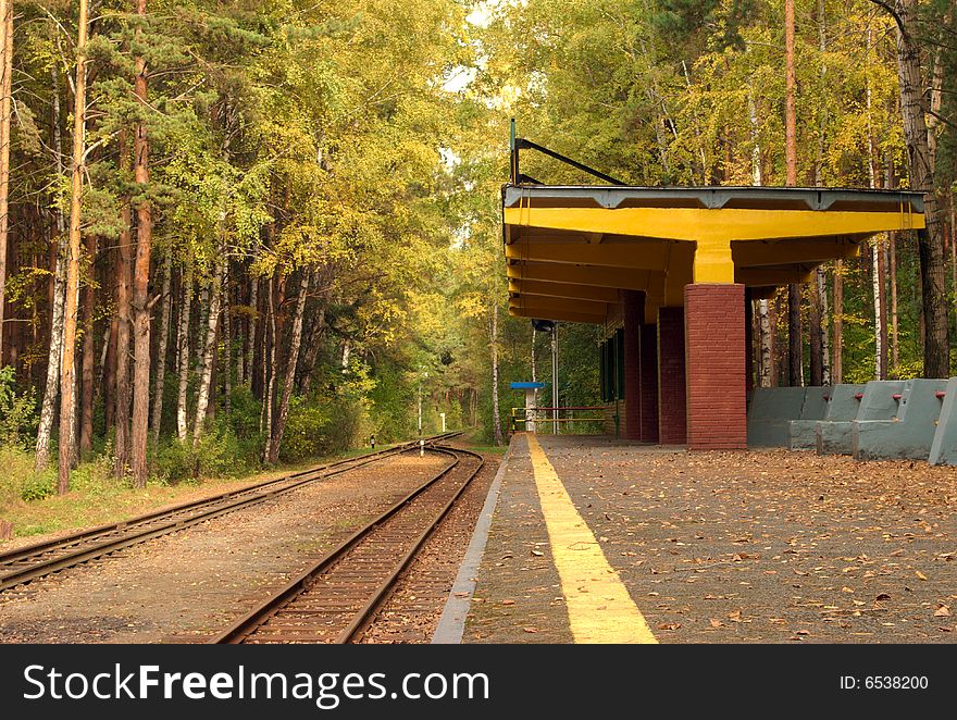 Railway station in the forest