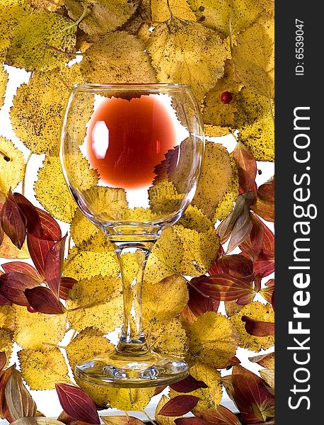 Autumn still-life. Red wine against autumn leaves. Autumn still-life. Red wine against autumn leaves.