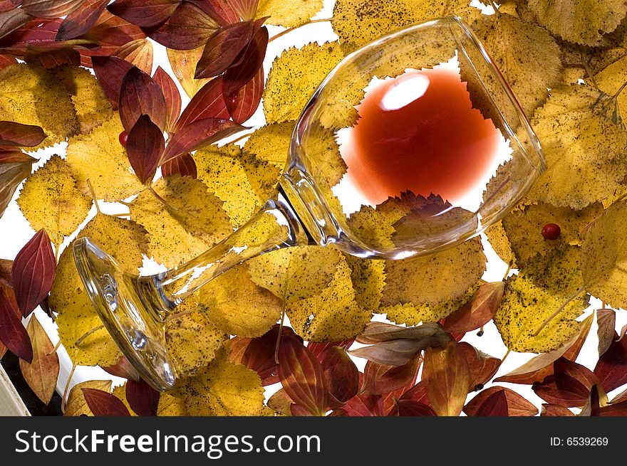 Autumn still-life. Red wine against autumn leaves. Autumn still-life. Red wine against autumn leaves.