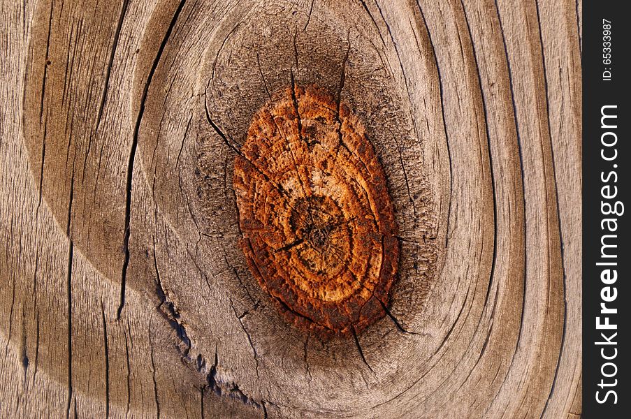 knot on a old wood fence grain background knot