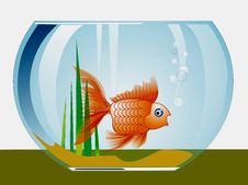 Goldfish Stock Images Goldfish Stock Images