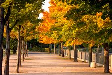 Colorful Autumnal Trees In The Park With Footpath Royalty Free Stock Photos