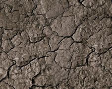 Dry Ground Royalty Free Stock Images