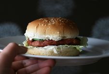 Hamburger On The Plate Royalty Free Stock Photo