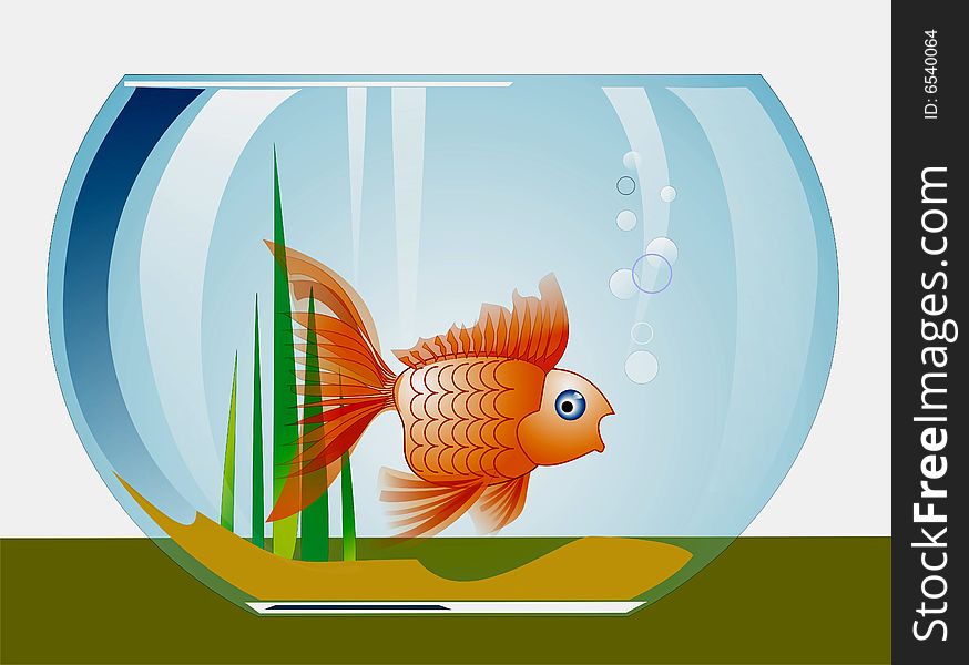 Goldfish in a glass aquarium
Download large hi-res