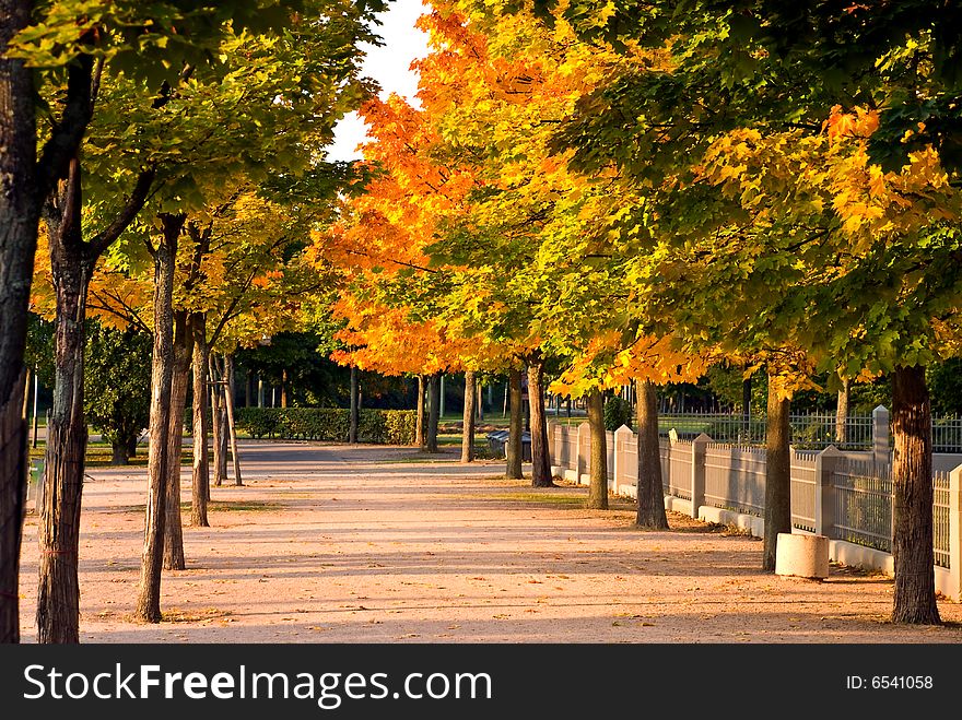 Colorful Autumnal Trees In The Park With Footpath