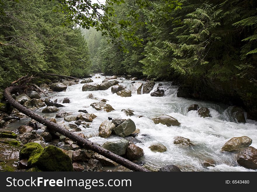 A rocky mountain river with a downed and curved tree. A rocky mountain river with a downed and curved tree