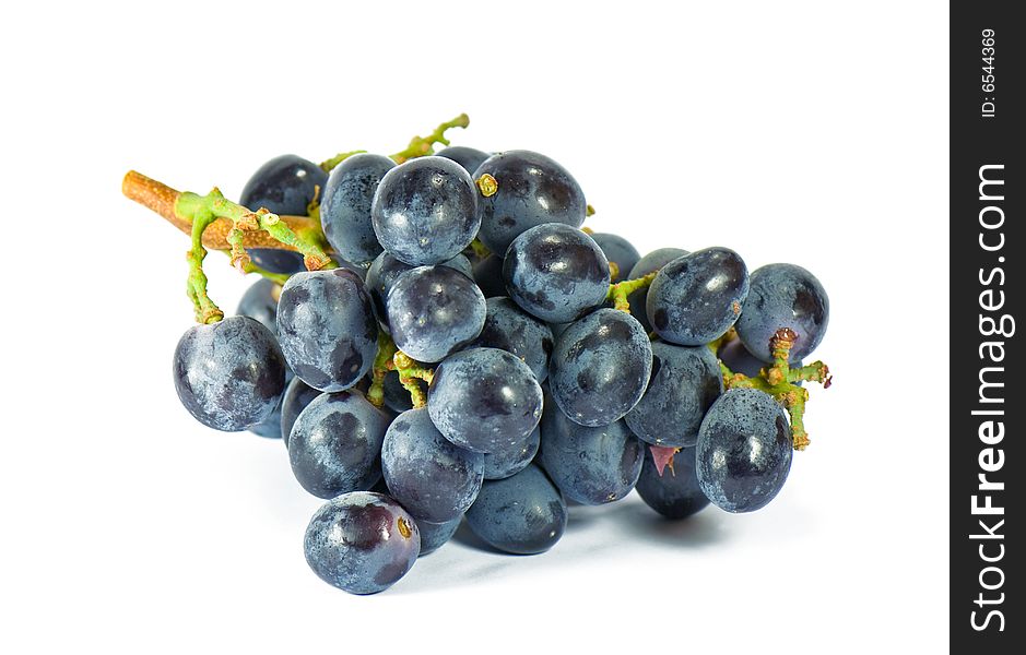 Blue Wine Grape, Isolated