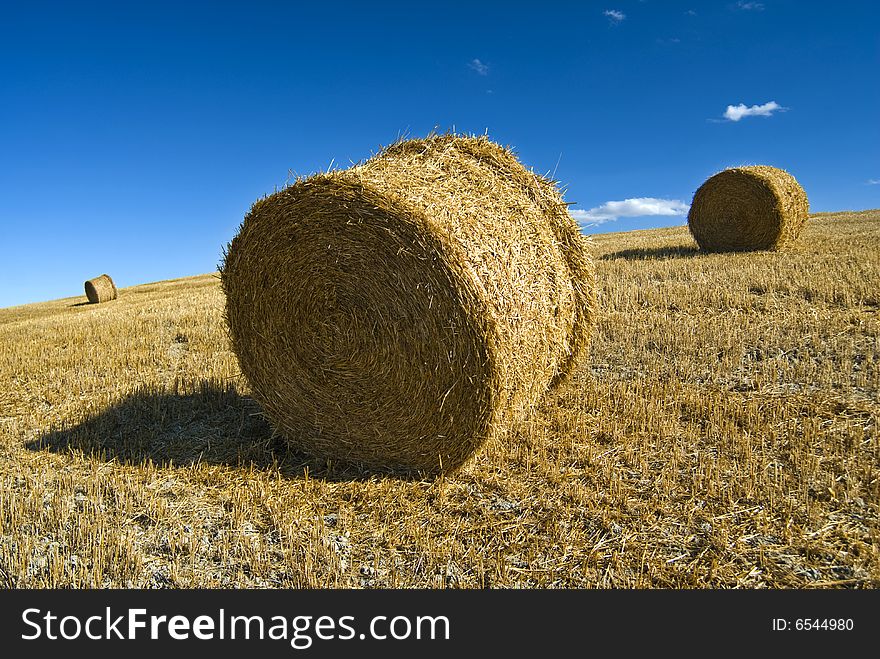 Chianti summer landscape with hay bales and blue cloudy sky. Chianti summer landscape with hay bales and blue cloudy sky