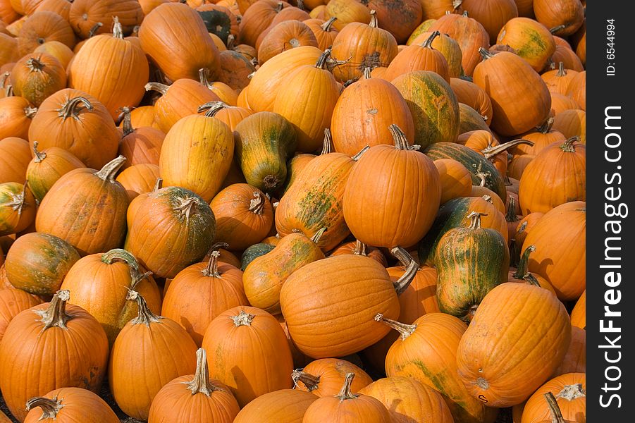 A large pile of pumpkins
