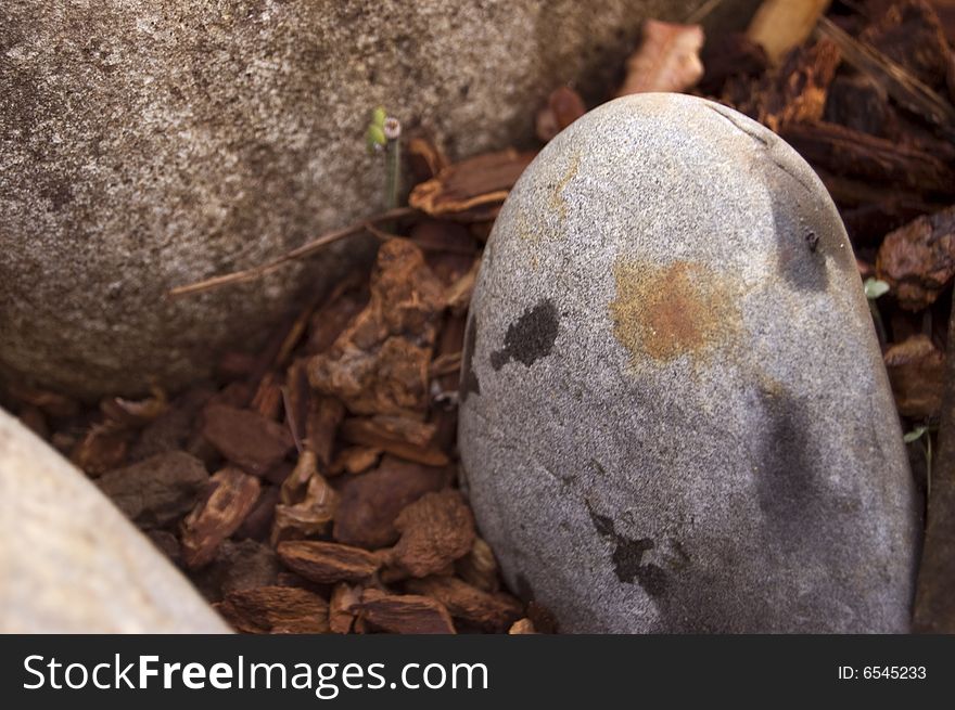 A photograph of a round stone in a garden. A photograph of a round stone in a garden