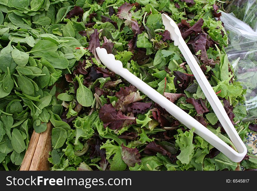 Salad mixture made of farm fresh leaves. Salad mixture made of farm fresh leaves.