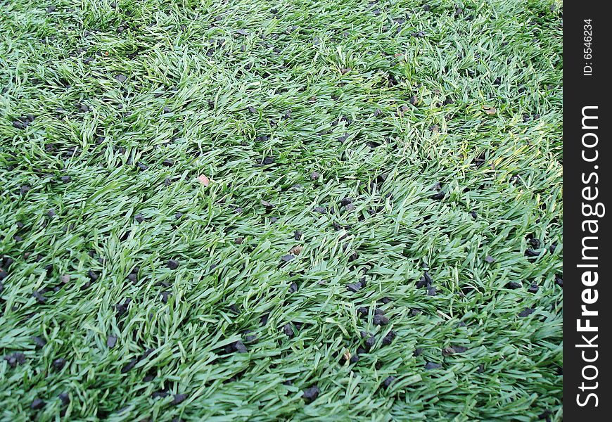 Man-made lawn for soccer use