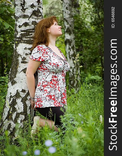 The brown-haired woman leans against a birch. The brown-haired woman leans against a birch