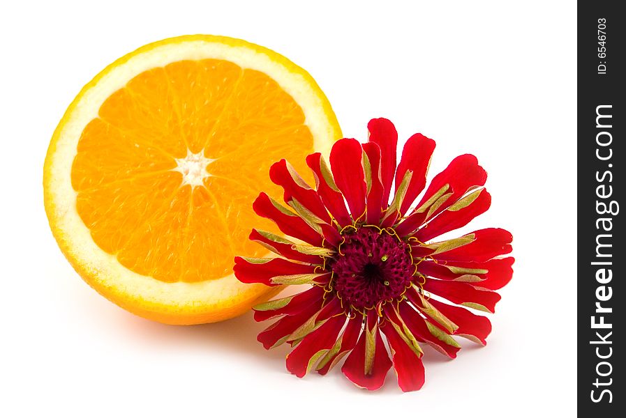 Beautiful flower red and ripe orange on white background