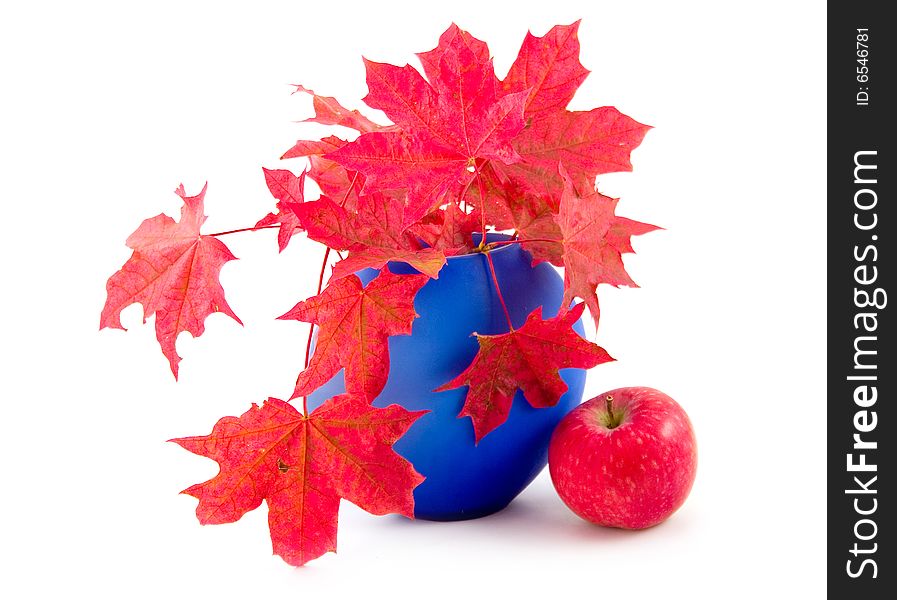 Red maple leaves in dark-blue to vase and ripe red apple on white background