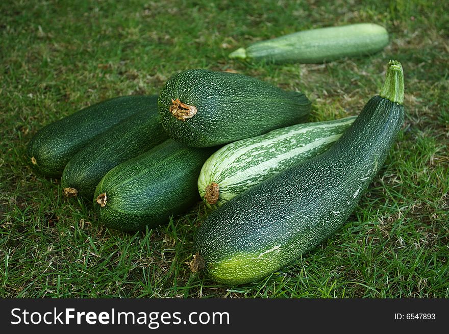 Group of fresh green courgettes on the grass
