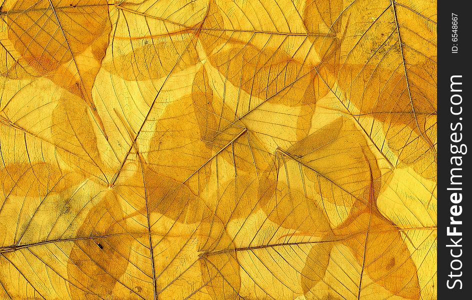 Background image of yellow fallen autumn leaves. Scan.