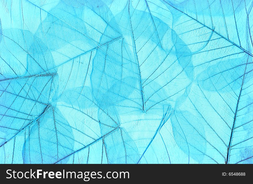 Background of colored leaves
