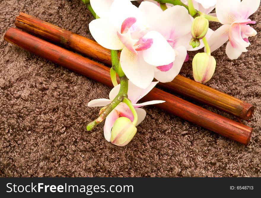 Composition with blossoming orchids, bamboo sticks on brown spa towel